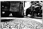 ParisRue3028