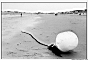 Noirmoutier0004